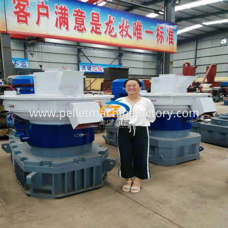 350KW 4T/H Wooden Sawdust Pellet Making Machine Wooden Sawdust Pelletier Wooden Sawdust Pellet Maker Factory